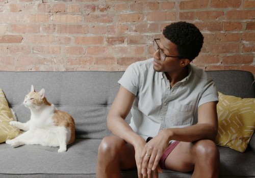 Are 11.25x11.25x4 Filters Good for Smoke and Odors?